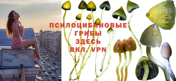 мдма Сосновка