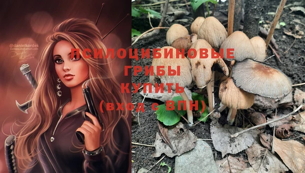 MESCALINE Ухта