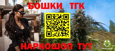 мдпв Можайск