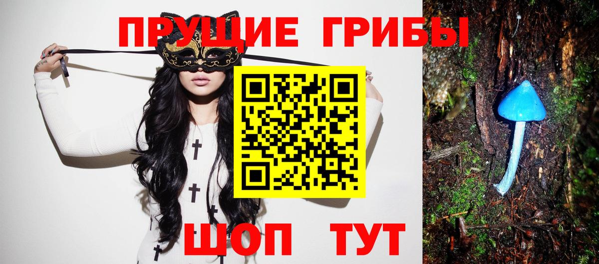 Псилоцибиновые грибы Cubensis  Галлюциногенные грибы ЛСД  наркота  Вход с VPN  Елец 
